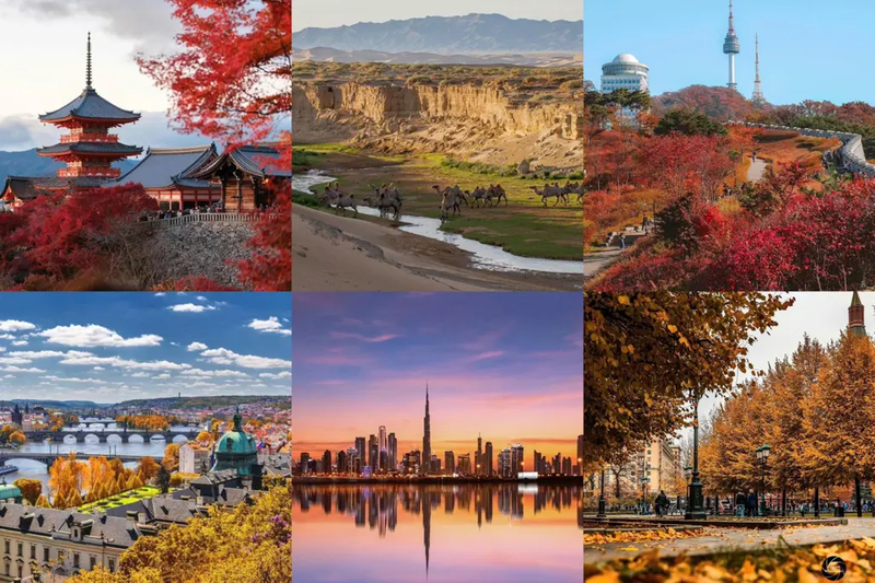 Ngày đẹp tháng 11 2026 5.png