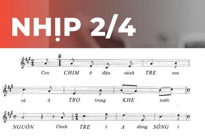 Nhịp 2 4 là gì ảnh 1