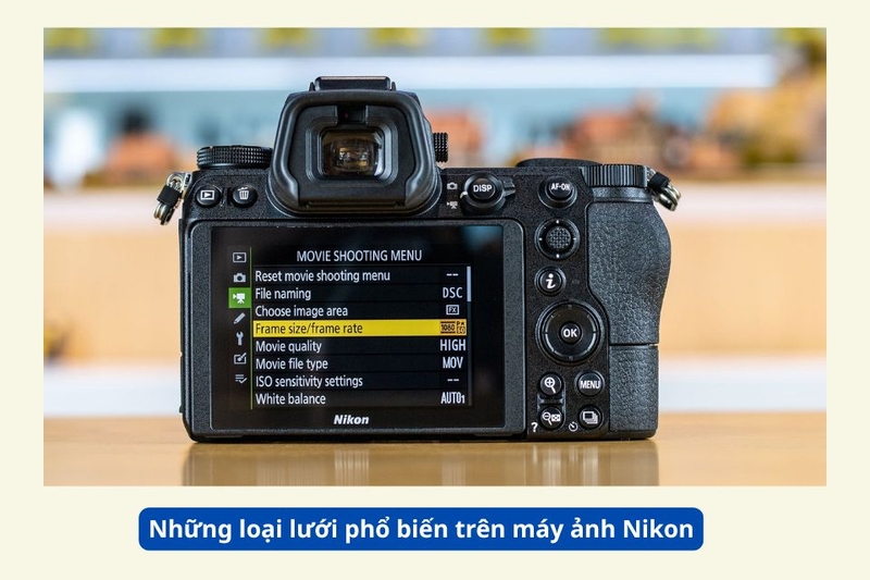 Những loại lưới phổ biến trên máy ảnh Nikon