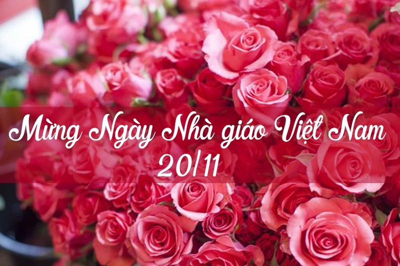Những lời chúc 20 11 đơn giản 3.png