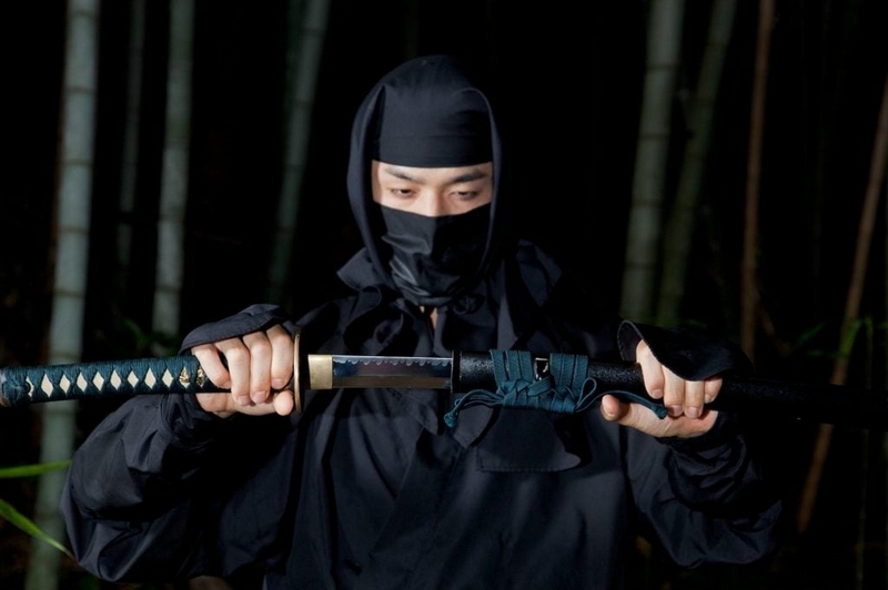 Ninjutsu là gì ảnh 5