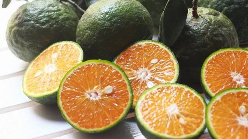 Một số kinh nghiệm để chọn cam tươi, ngon