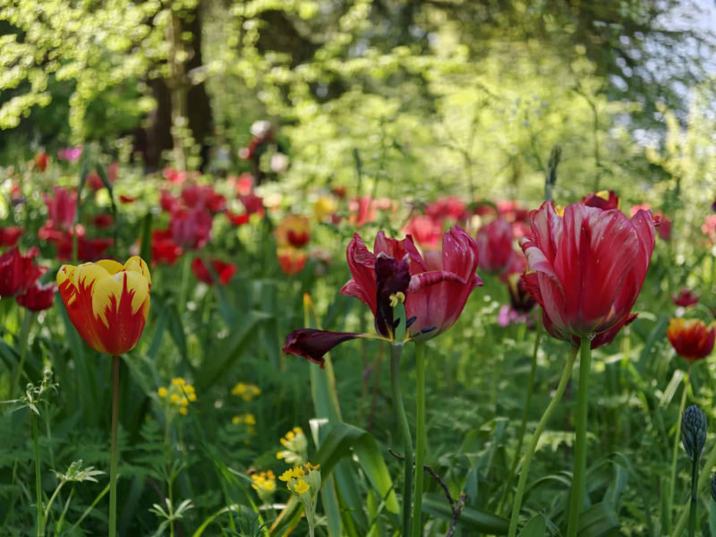 OPPO-Find-X9-Ultra-camera-13.webp