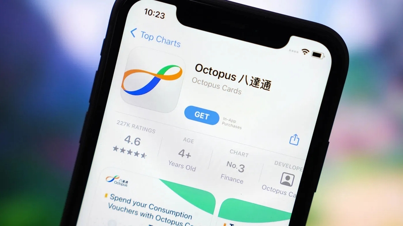 Octopus (ảnh 1)