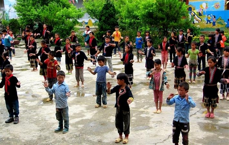 Phổ cập giáo dục tiểu học là gì ảnh 1