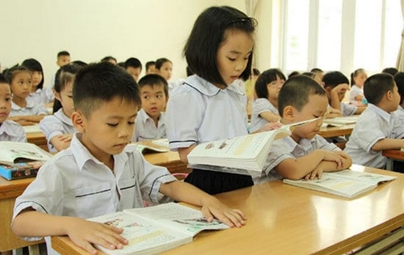 Phổ cập giáo dục tiểu học là gì ảnh 2