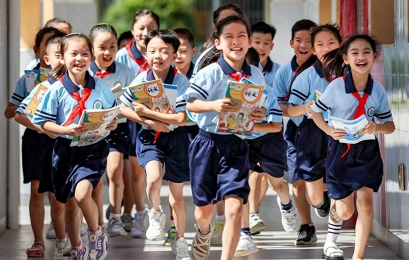 Phổ cập giáo dục tiểu học là gì ảnh 4