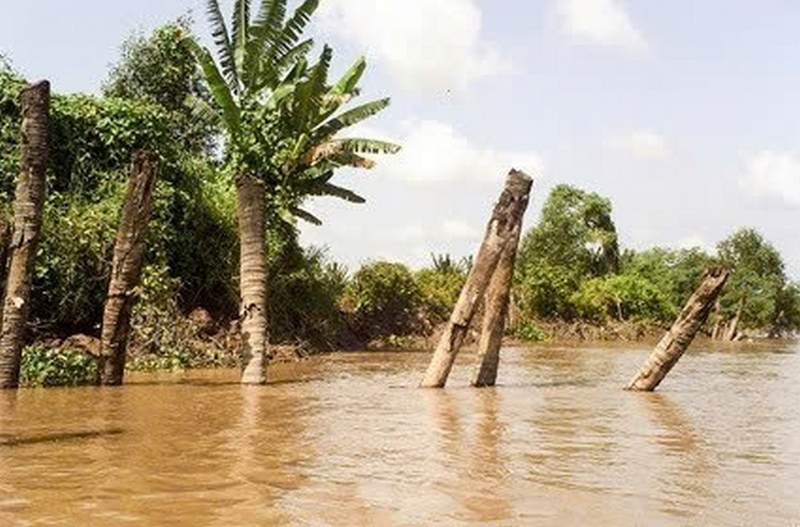 Phù sa là gì ảnh 4