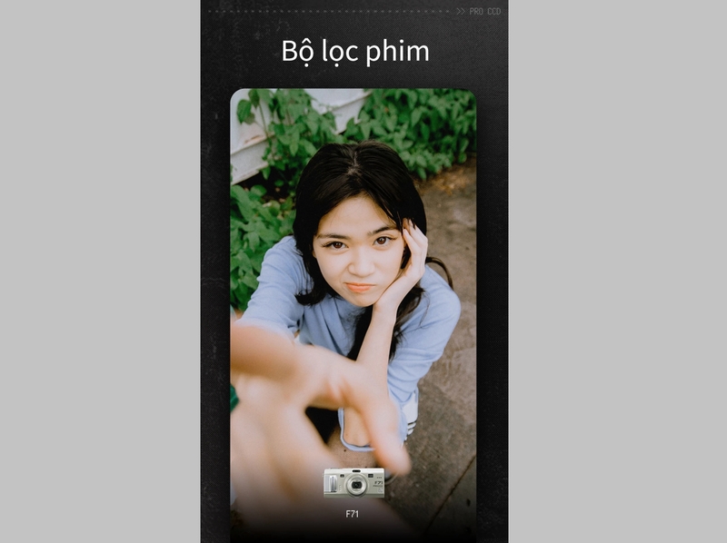 ProCCD-4.jpg