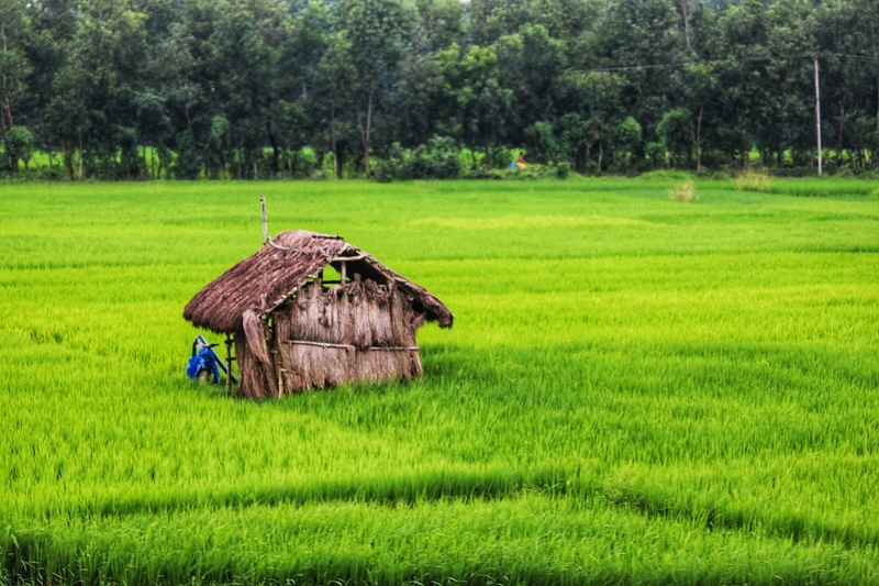 Quê hương Việt Nam 15