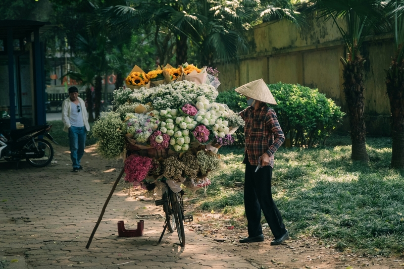 Quê hương Việt Nam 25