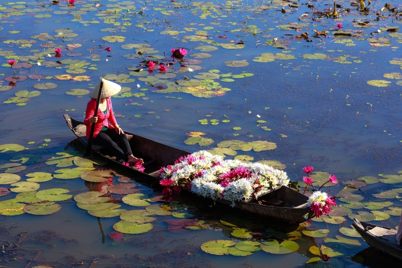 Quê hương Việt Nam 19