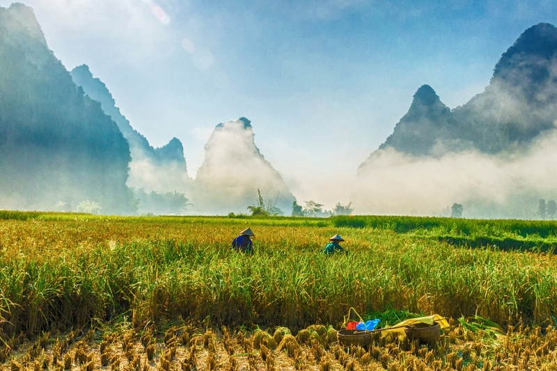 Quê hương Việt Nam 17
