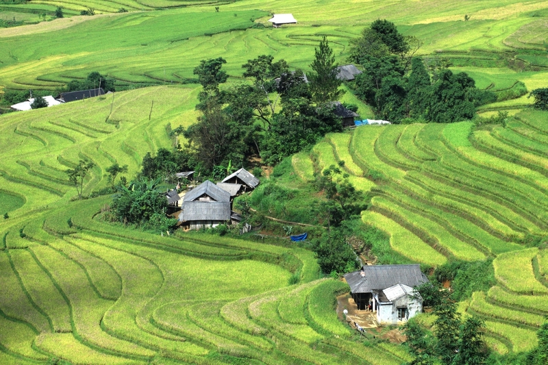 Quê hương Việt Nam 2