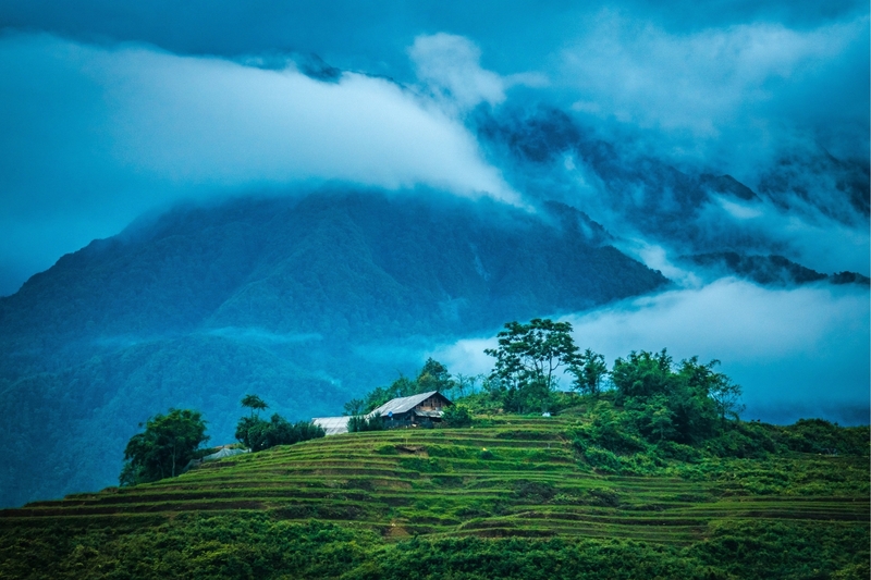 Quê hương Việt Nam 16