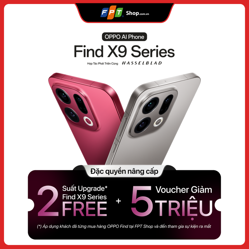 RC_Collection_1000x1000 (3).png