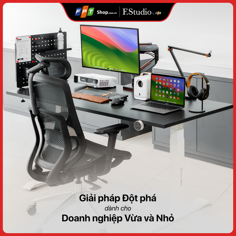 RC_Collection_1000x1000 (3).png