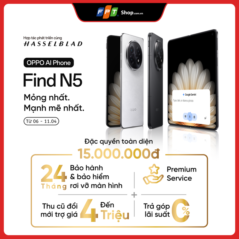 RC_Collection_1000x1000 (3).png