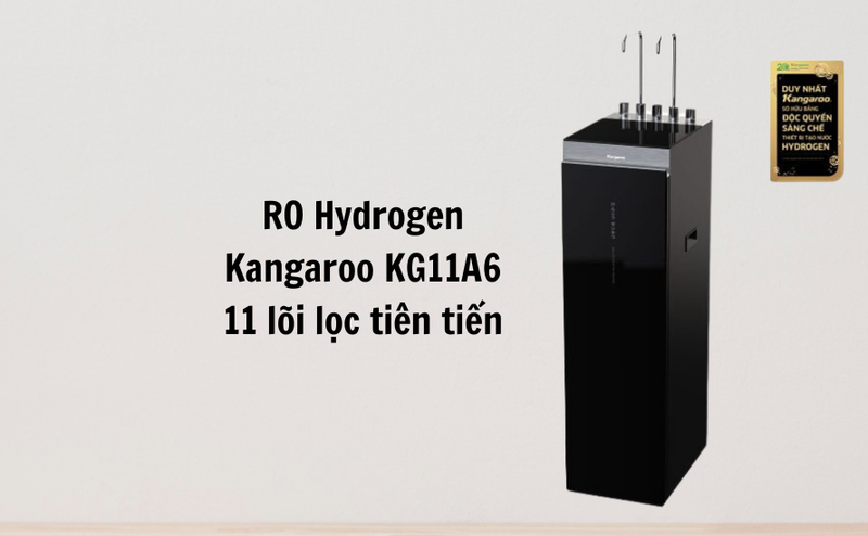 mua máy lọc nước ở đâu tại vũng tàu 8