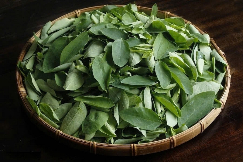 Rau ngót bao nhiêu calo ảnh 1
