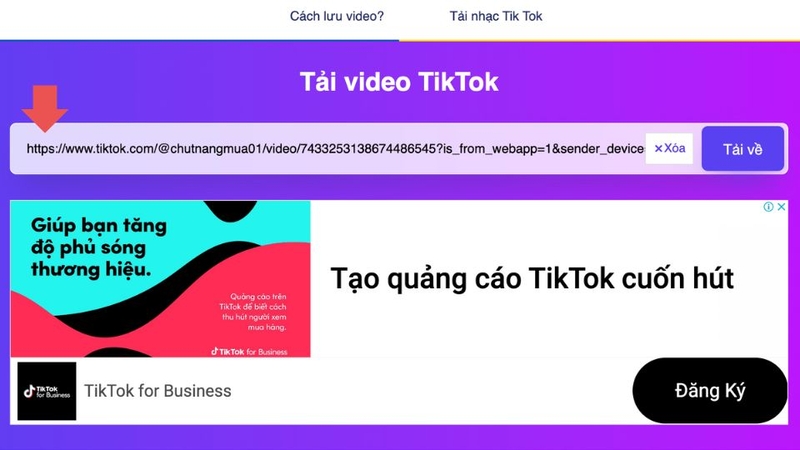 Bước 3: Dán liên kết vào SSSTik