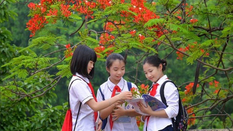 STT tổng kết cuối năm học 1