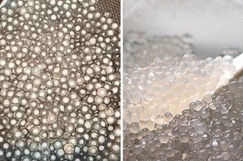 Phân biệt sago và bột báng (Tapioca pearls)
