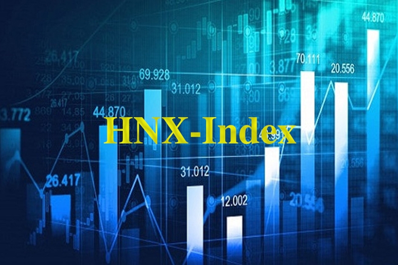 Cơ cấu tổ chức và hoạt động của sàn HNX