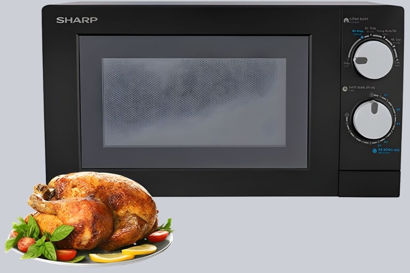 Sharp 20 lít R-208VN-WS