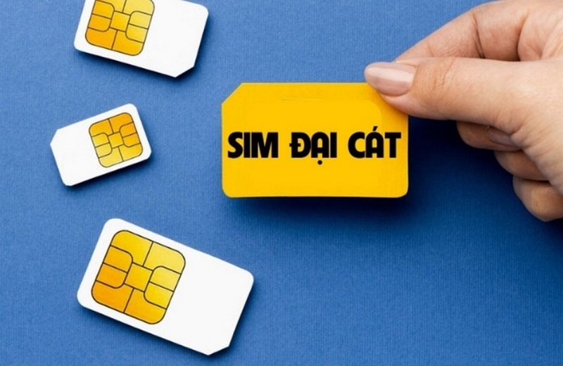 Sim phong thủy là gì ảnh 4