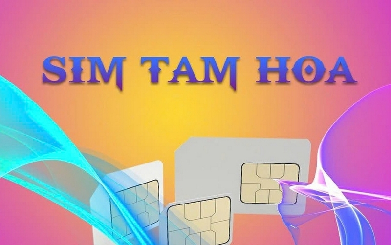 Sim tam hoa ảnh 1