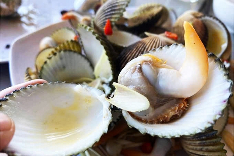 Sò mồng ảnh 2