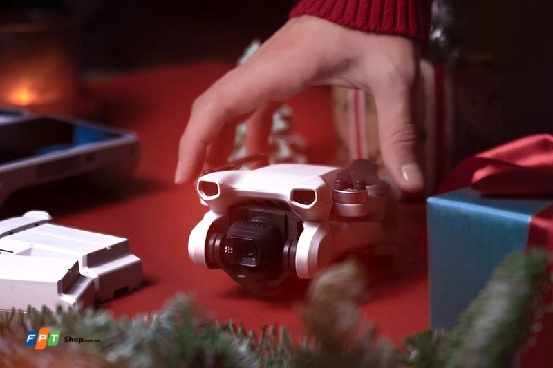 So sánh DJI Mini 3 và DJI Mini 3 Pro ảnh 1