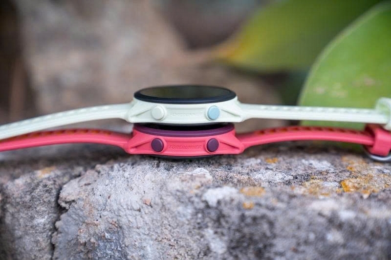 So sánh Garmin Forerunner 70 và Forerunner 170 ảnh 1