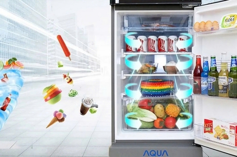 So sánh tủ lạnh Aqua và Electrolux ảnh 5