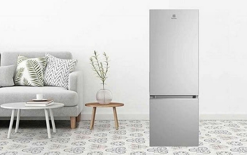 So sánh tủ lạnh Aqua và Electrolux ảnh 8
