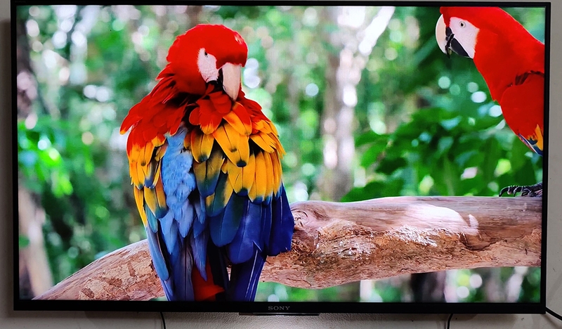 Đánh giá tivi 43W800C - 02