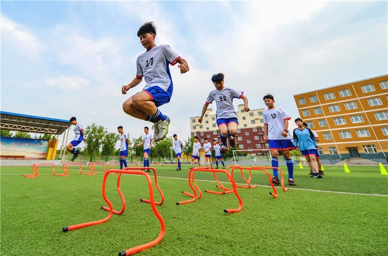 T00 gồm những môn nào? Ngành nào ảnh 5