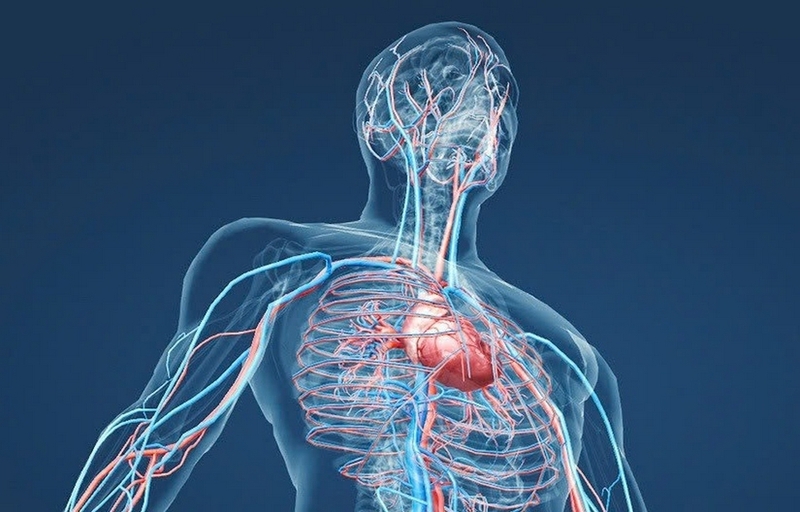 Tác hại của ghế massage ảnh 2