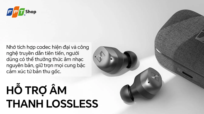 Giới thiệu về thương hiệu tai nghe Sennheiser