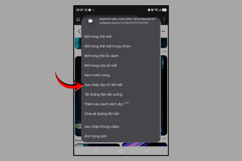 Tải video từ Pinterest 3