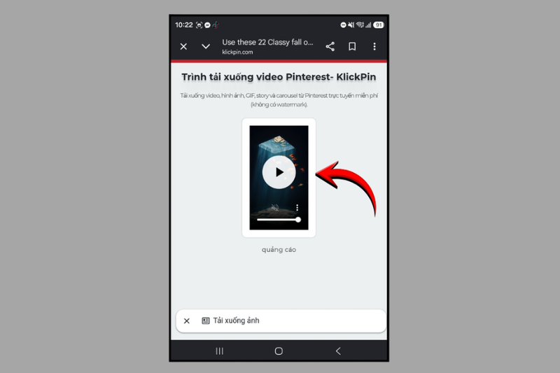 Tải video từ Pinterest 6