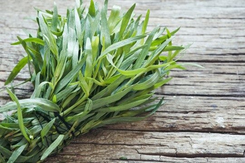 Tarragon 2