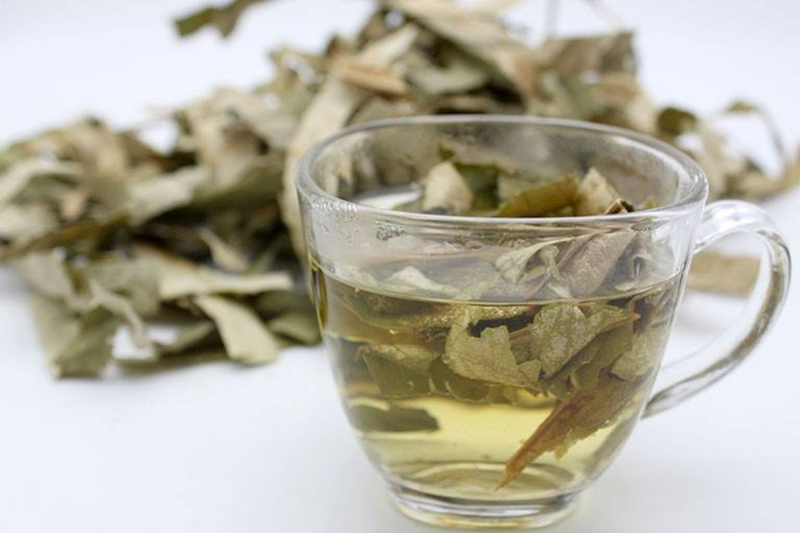 Thành phẩm nước lá sen khô