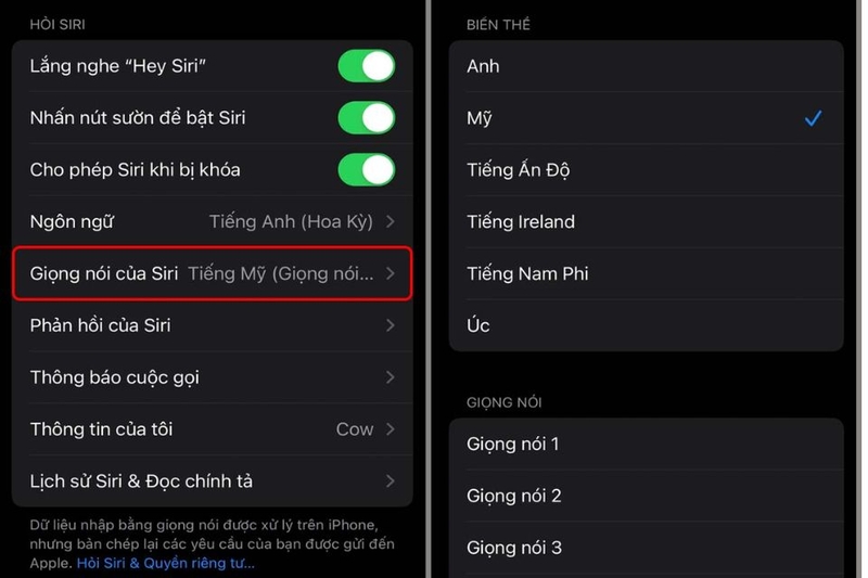 Thay đổi giọng nói Siri