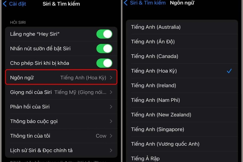 Thay đổi ngôn ngữ Siri