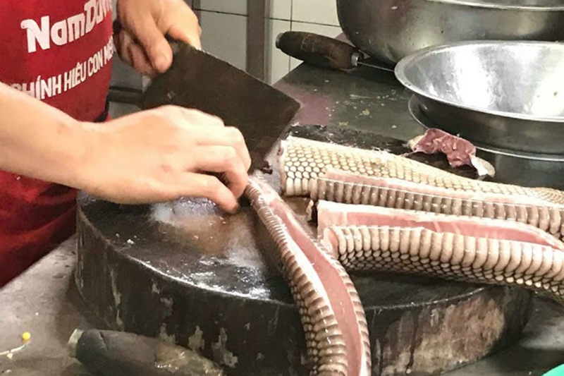 Đặc điểm của thịt rắn