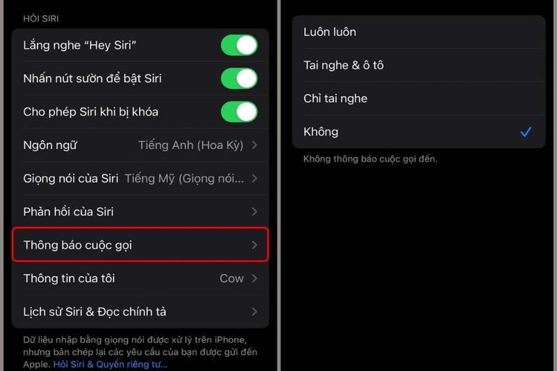 Thông báo cuộc gọi bằng Siri