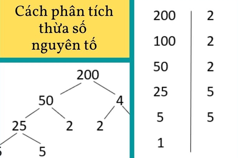 Quy trình phân tích một số thành thừa số nguyên tố