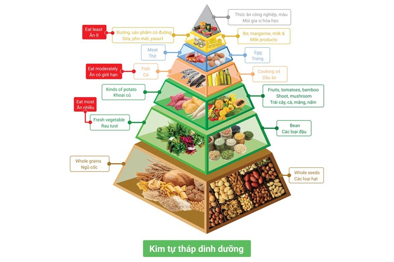 Tìm hiểu kỹ về thực dưỡng
